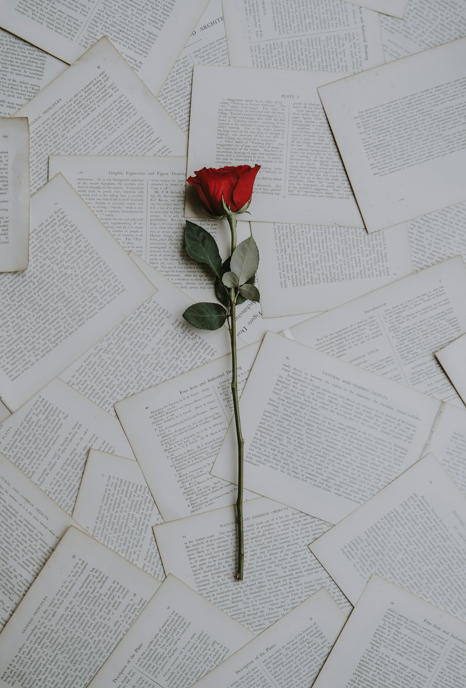 Wedding Invitations